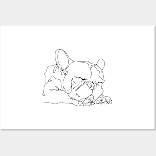 French Bulldog Collection Posters and Art